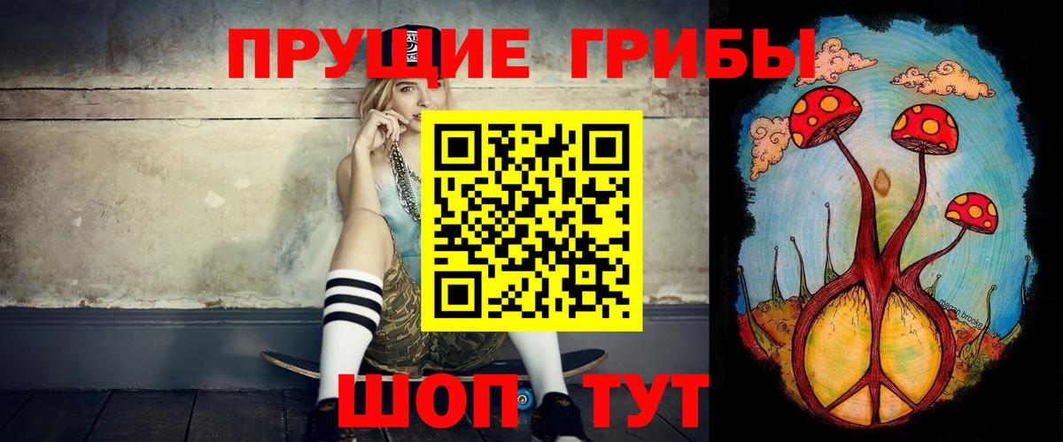 Северодвинск  Галлюциногенные грибы Psilocybine cubensis  Вход с VPN 
