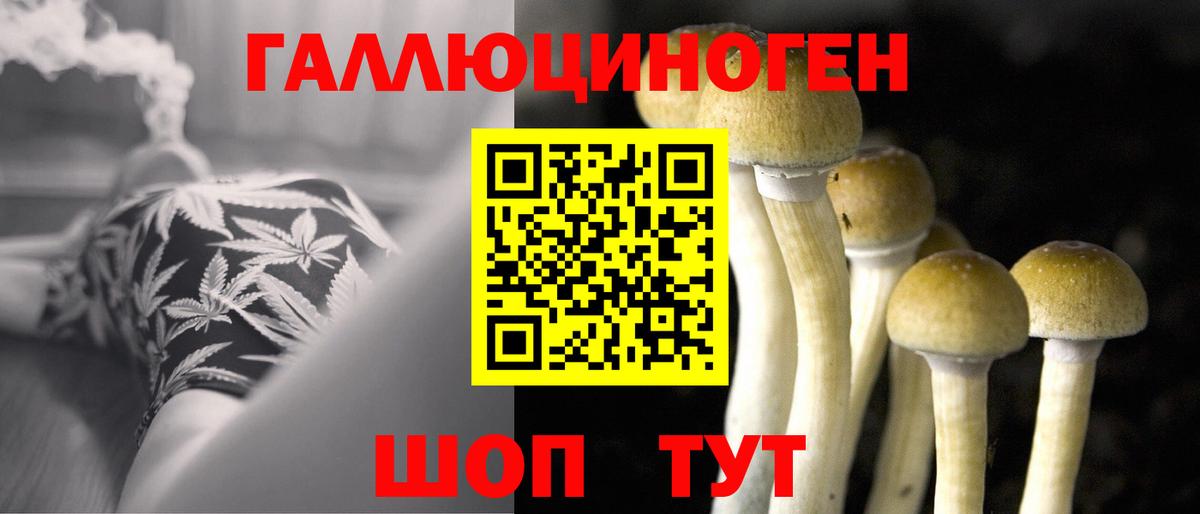 Галлюциногенные грибы мухоморы Северодвинск